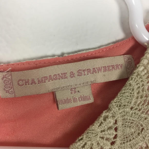 Champagne Strawberry Lace Fitted Sleeveless Lace - Picture 3 of 5